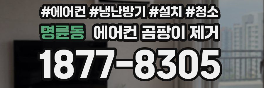 명륜동 에어컨 곰팡이 제거