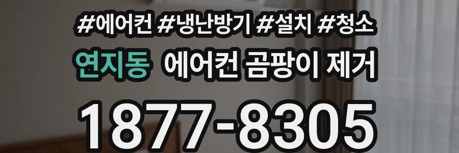 연지동 에어컨 곰팡이 제거