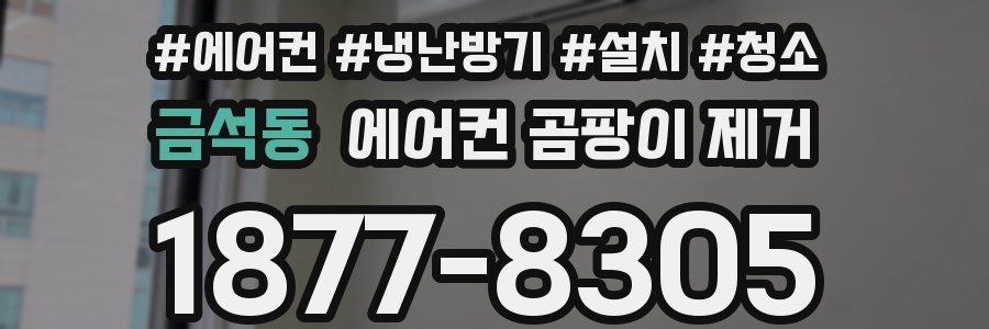 금석동 에어컨 곰팡이 제거