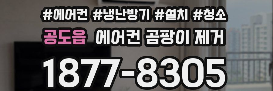 공도읍 에어컨 곰팡이 제거