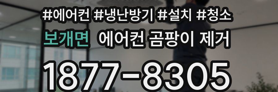 보개면 에어컨 곰팡이 제거