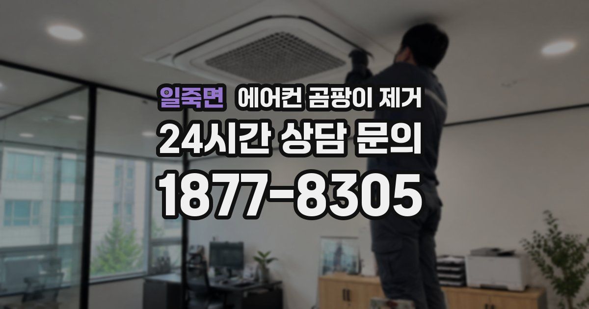 일죽면 에어컨 곰팡이 제거