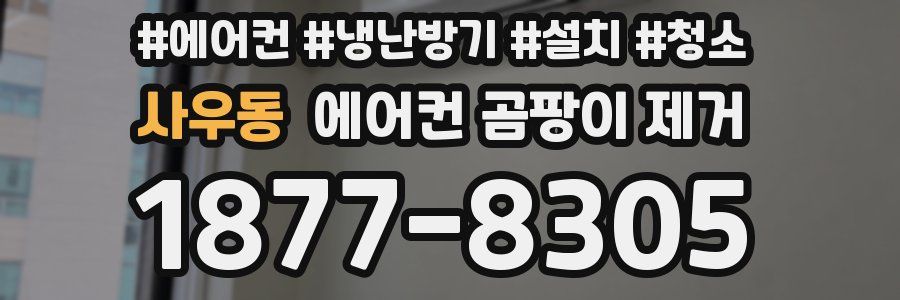 사우동 에어컨 곰팡이 제거