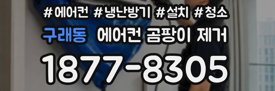 구래동 에어컨 곰팡이 제거