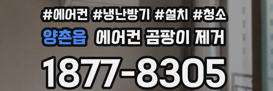 양촌읍 에어컨 곰팡이 제거