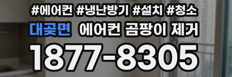 대곶면 에어컨 곰팡이 제거