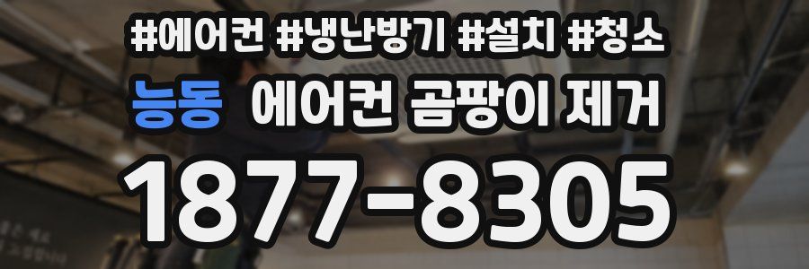 능동 에어컨 곰팡이 제거