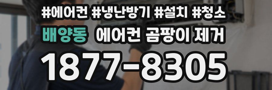 배양동 에어컨 곰팡이 제거