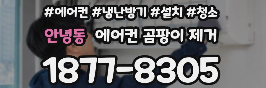 안녕동 에어컨 곰팡이 제거