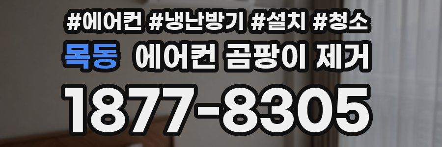 목동 에어컨 곰팡이 제거