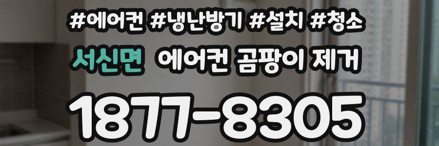 서신면 에어컨 곰팡이 제거