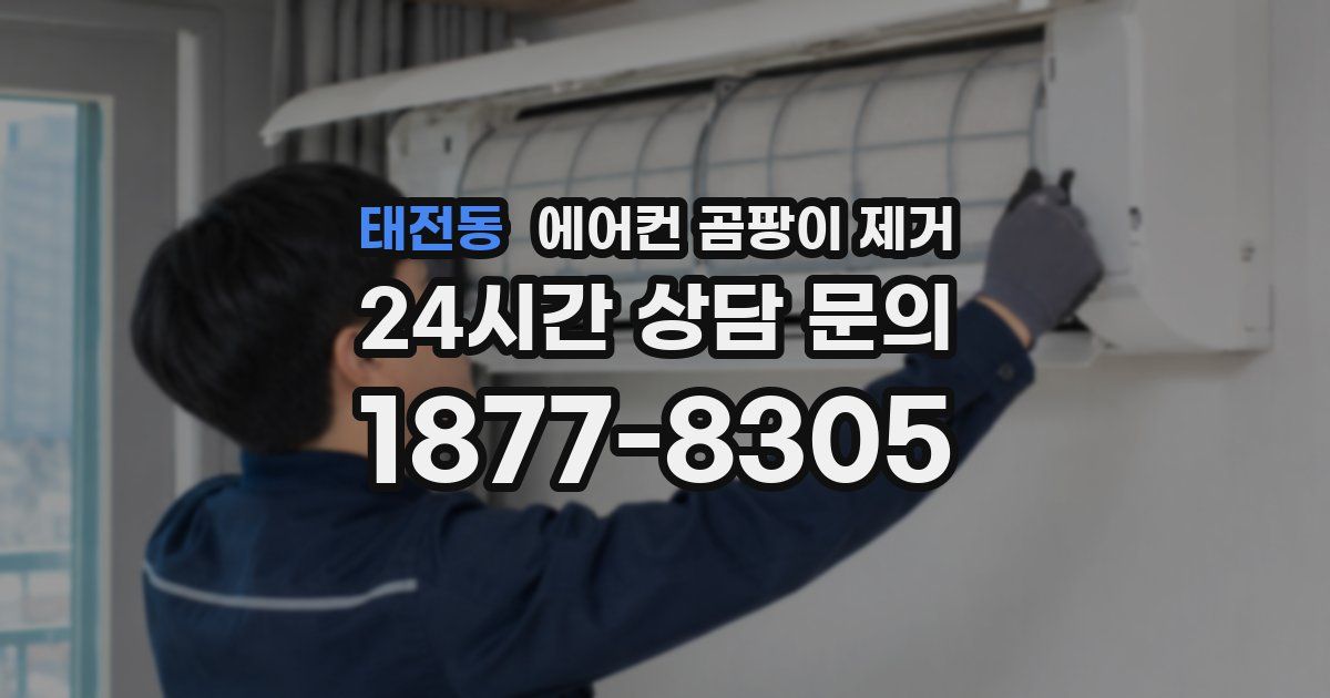 태전동 에어컨 곰팡이 제거