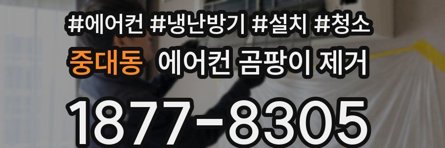 중대동 에어컨 곰팡이 제거