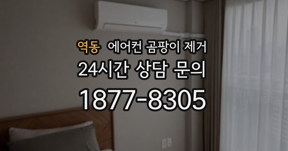역동 에어컨 곰팡이 제거