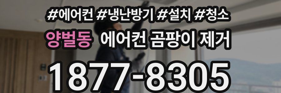 양벌동 에어컨 곰팡이 제거