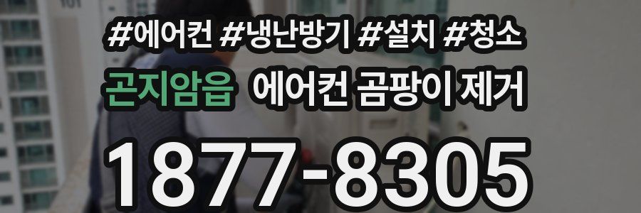 곤지암읍 에어컨 곰팡이 제거