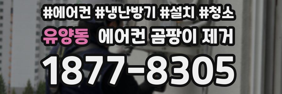 유양동 에어컨 곰팡이 제거
