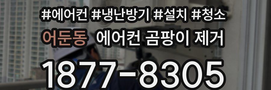어둔동 에어컨 곰팡이 제거