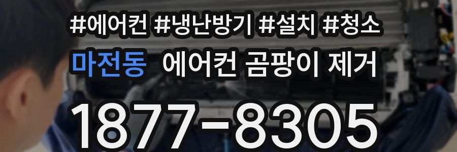 마전동 에어컨 곰팡이 제거