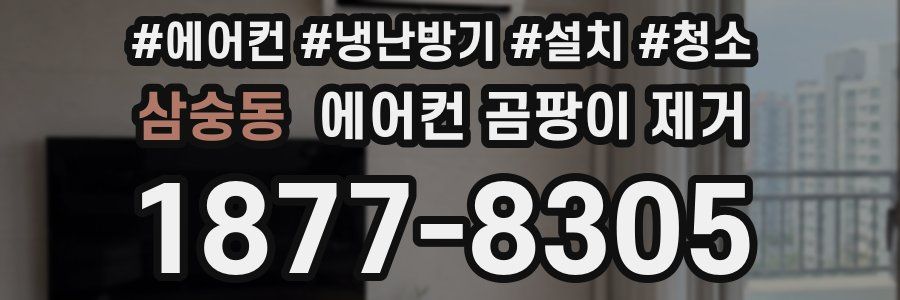 삼숭동 에어컨 곰팡이 제거