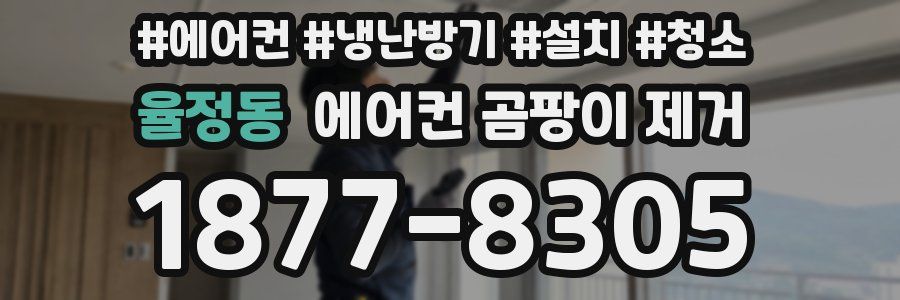 율정동 에어컨 곰팡이 제거