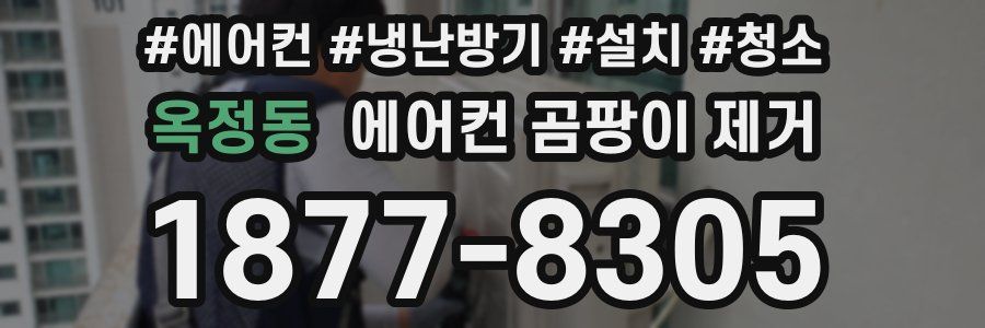 옥정동 에어컨 곰팡이 제거