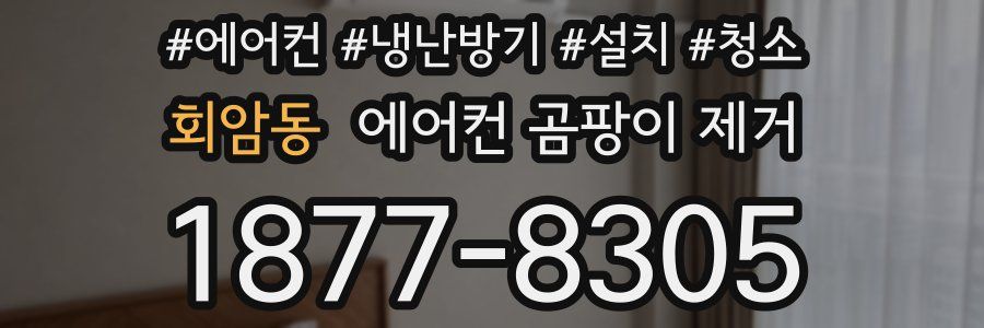 회암동 에어컨 곰팡이 제거