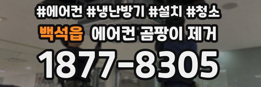 백석읍 에어컨 곰팡이 제거