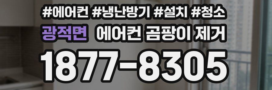 광적면 에어컨 곰팡이 제거