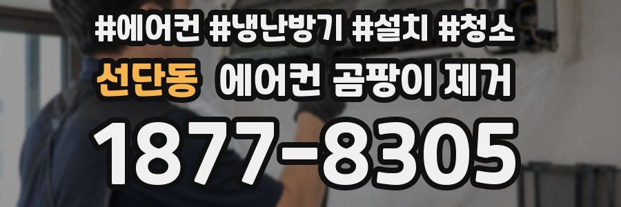선단동 에어컨 곰팡이 제거