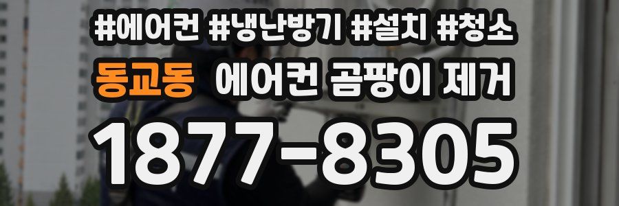 동교동 에어컨 곰팡이 제거