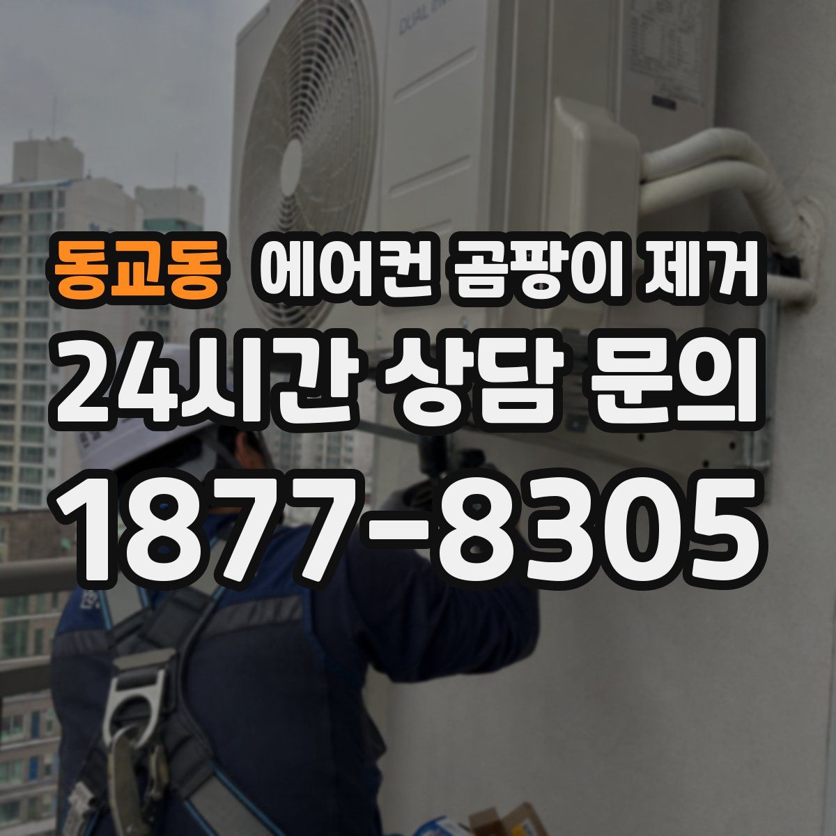 동교동 에어컨 곰팡이 제거