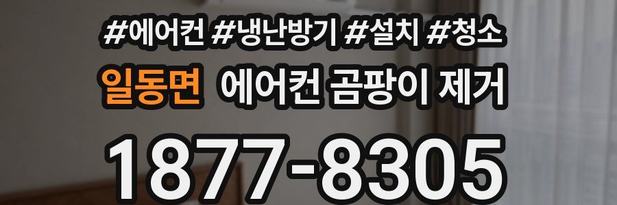 일동면 에어컨 곰팡이 제거
