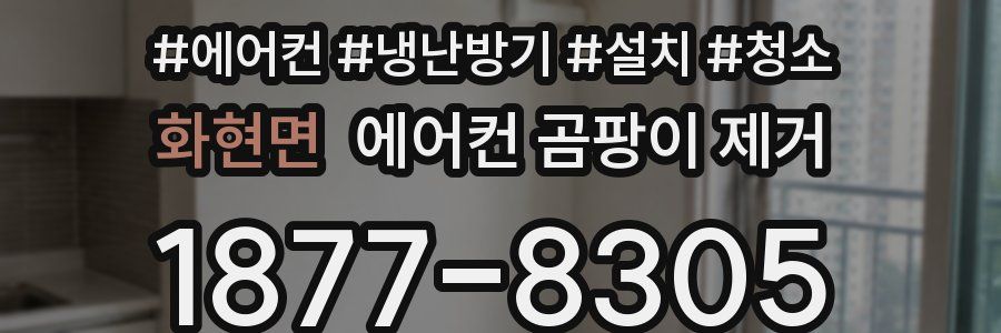 화현면 에어컨 곰팡이 제거