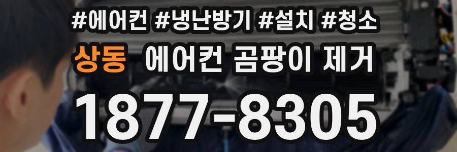 상동 에어컨 곰팡이 제거