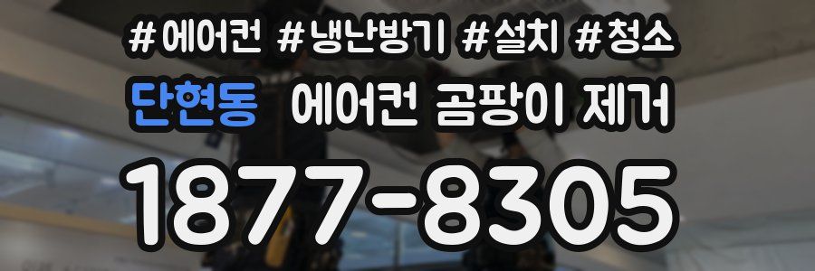 단현동 에어컨 곰팡이 제거