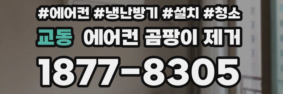 교동 에어컨 곰팡이 제거