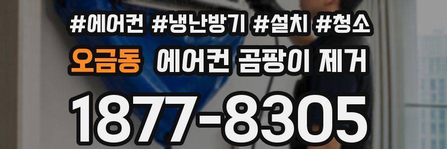 오금동 에어컨 곰팡이 제거