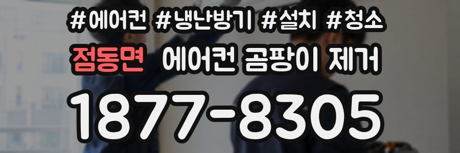 점동면 에어컨 곰팡이 제거