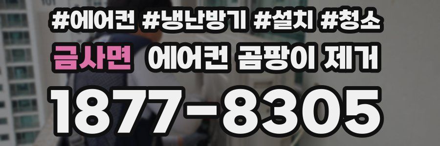 금사면 에어컨 곰팡이 제거