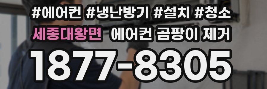 세종대왕면 에어컨 곰팡이 제거