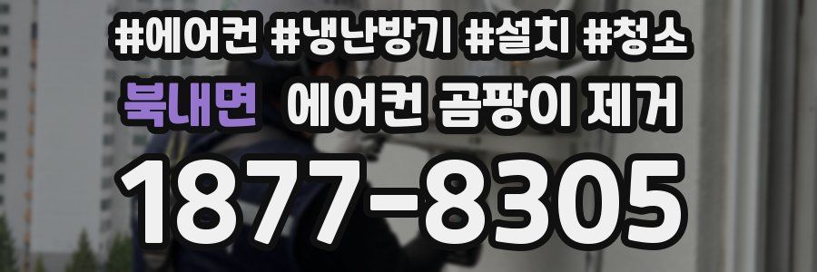 북내면 에어컨 곰팡이 제거