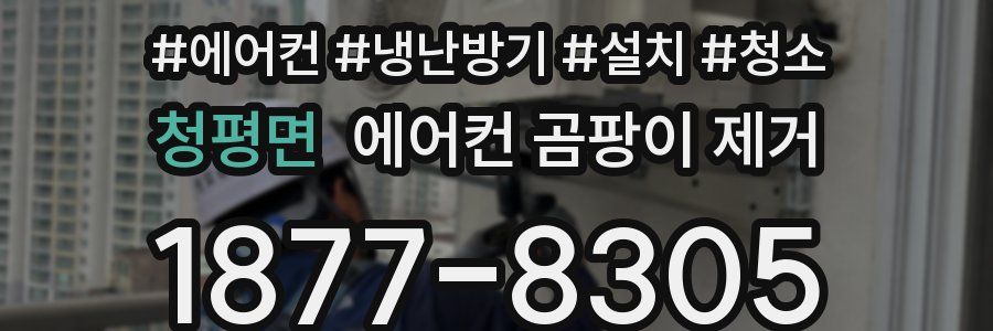 청평면 에어컨 곰팡이 제거