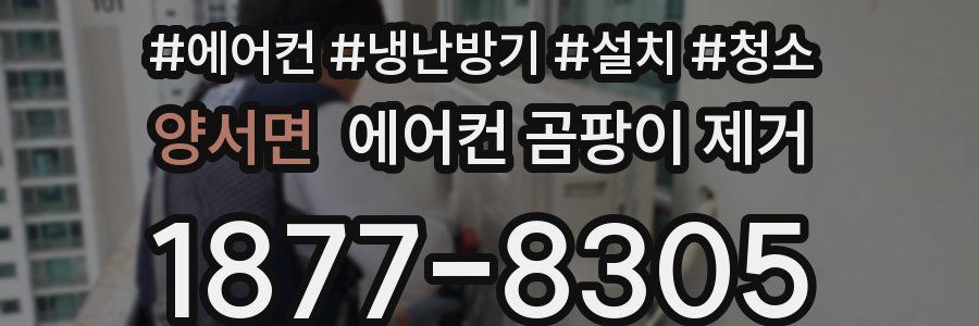 양서면 에어컨 곰팡이 제거