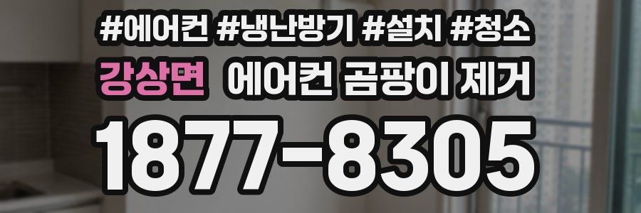 강상면 에어컨 곰팡이 제거