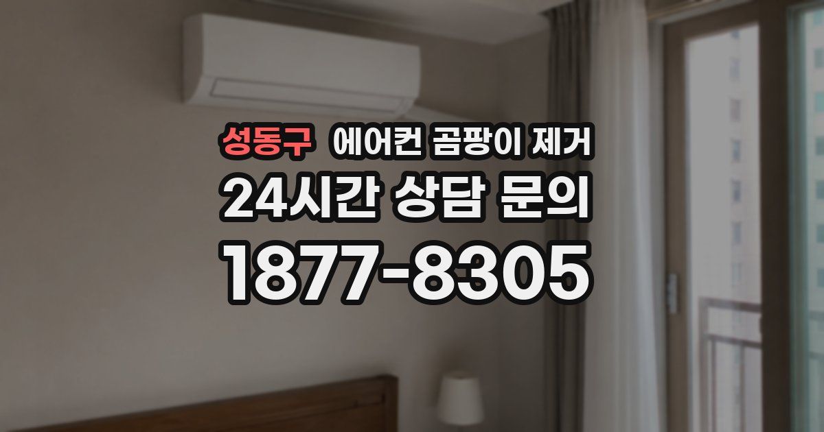 성동구 에어컨 곰팡이 제거