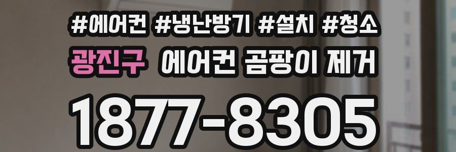광진구 에어컨 곰팡이 제거
