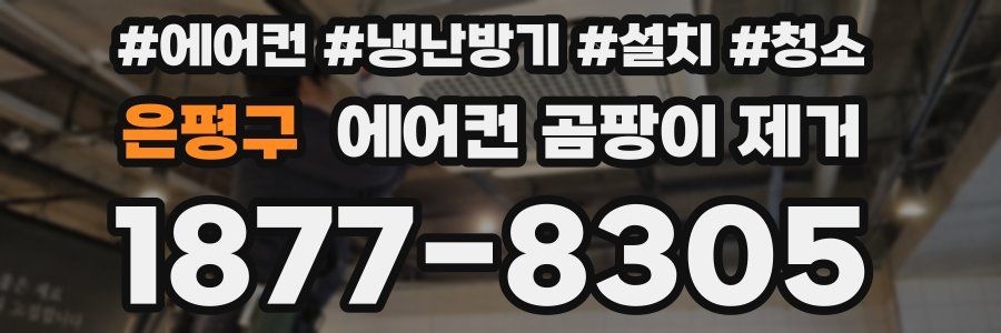 은평구 에어컨 곰팡이 제거
