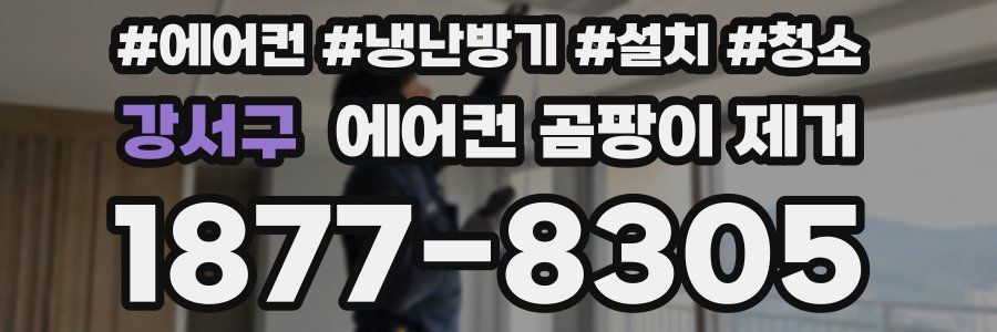 강서구 에어컨 곰팡이 제거