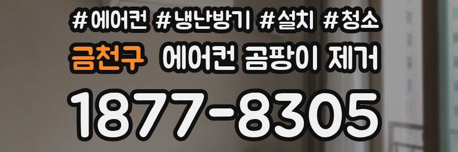 금천구 에어컨 곰팡이 제거